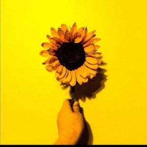 Meet your Posher, Lindsey